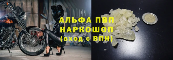 СК Володарск