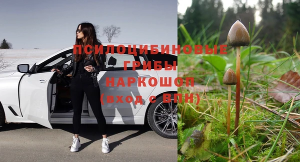 СК Волоколамск